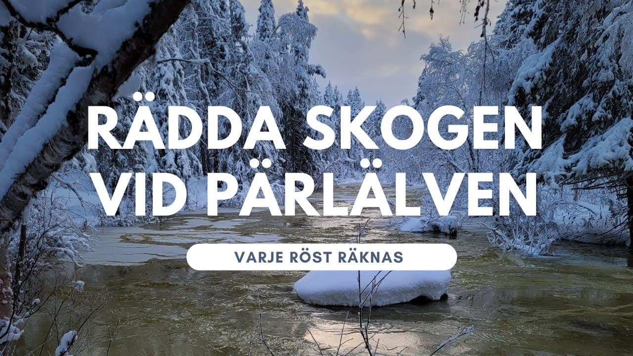 Bild från youtube-video