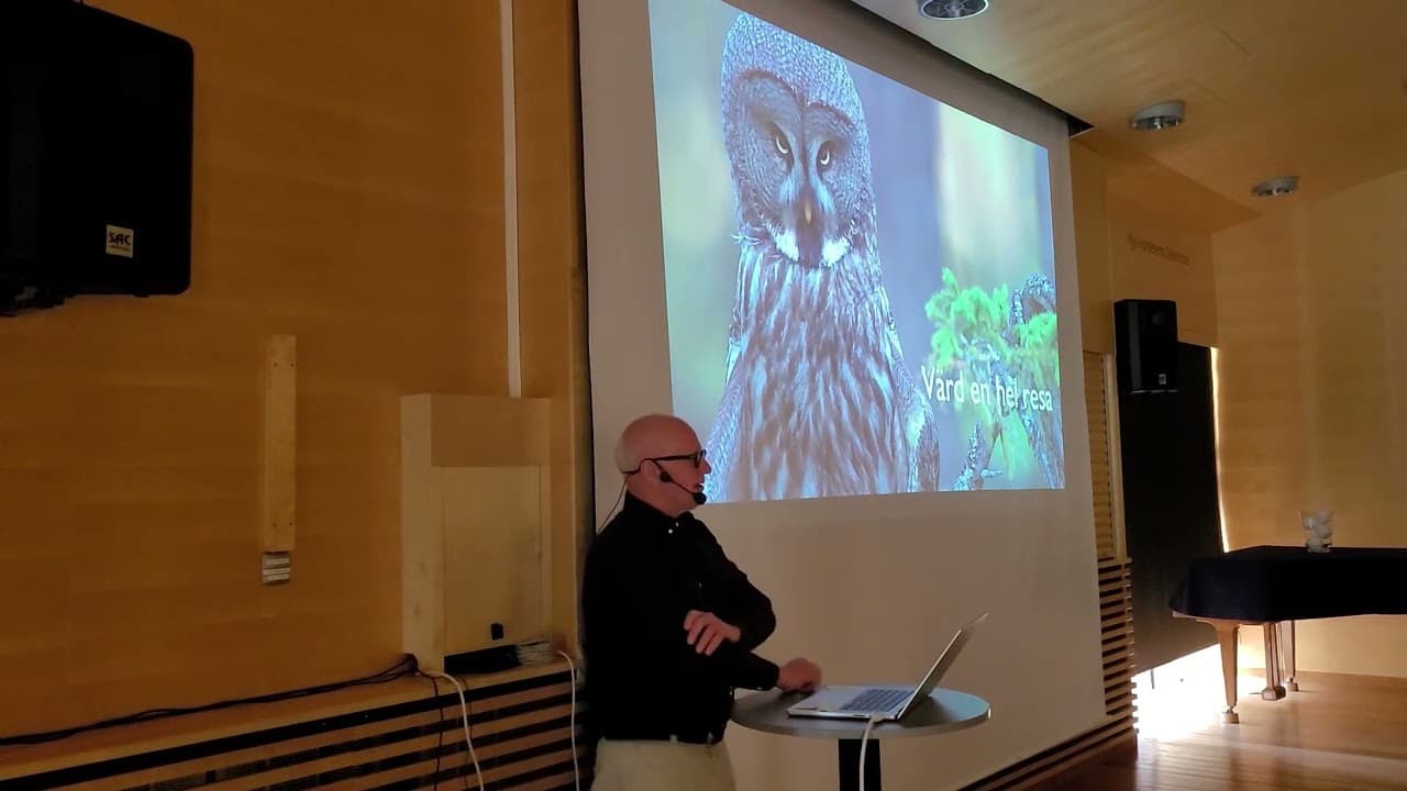 Bild från youtube-video