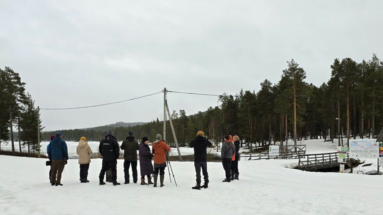 Vid Talvatissjöns inlopp fann vid mandarinandsparet.