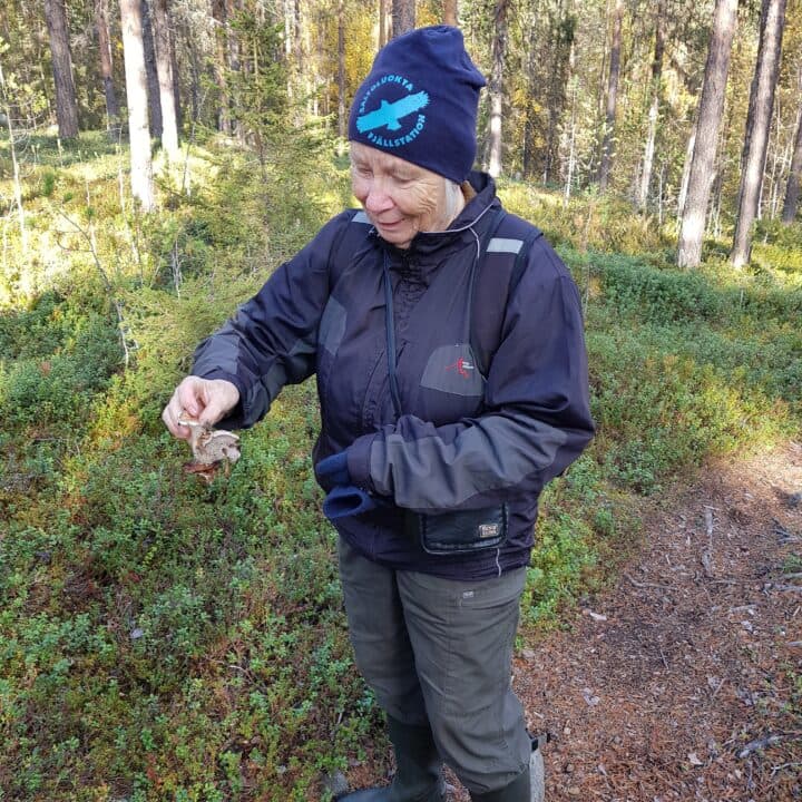 Sonja visar en talltaggsvamp.