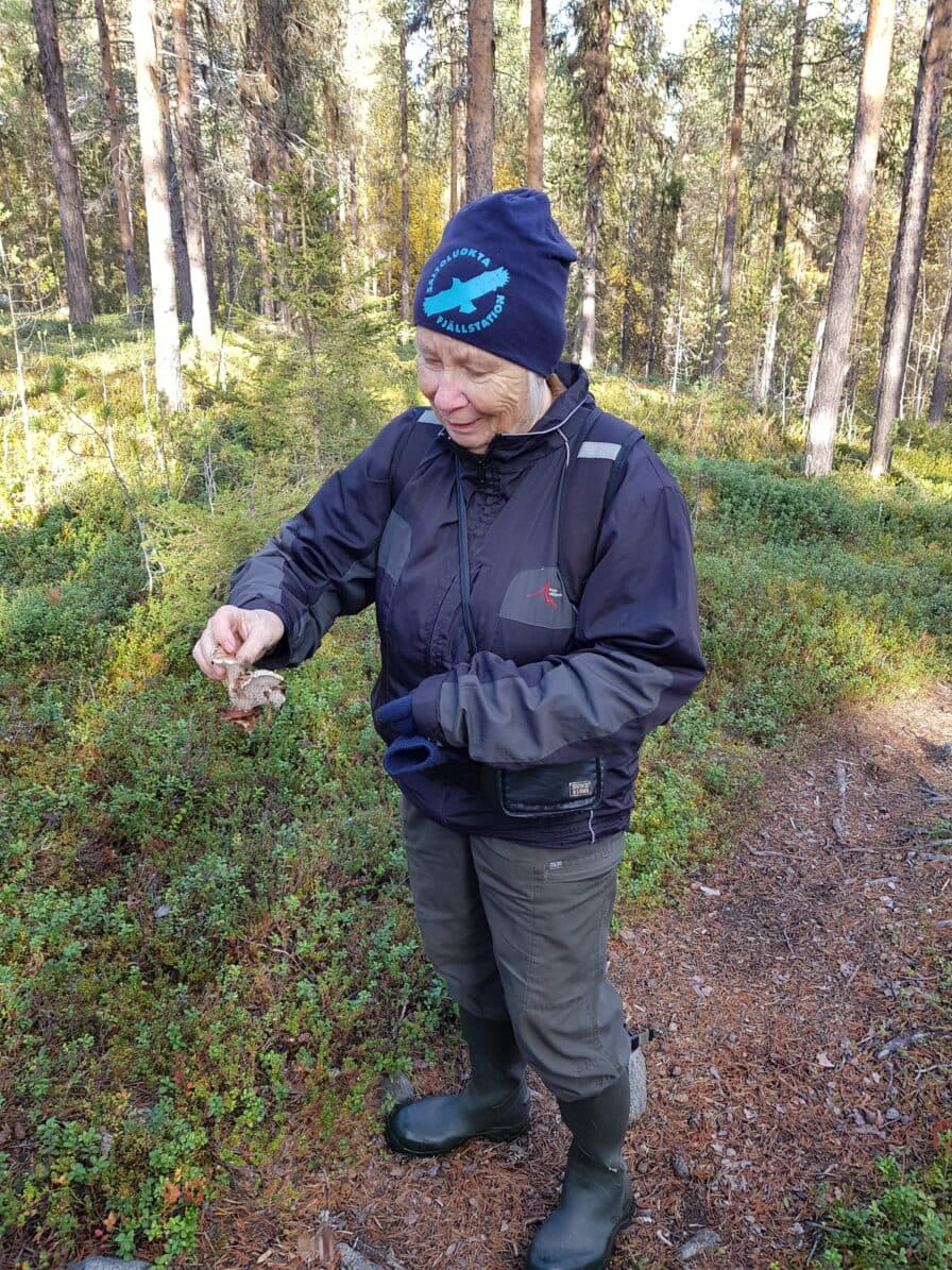 Sonja visar en talltaggsvamp.