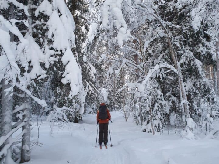 Skidturen påbörjad till Getbergets fågelmatning.