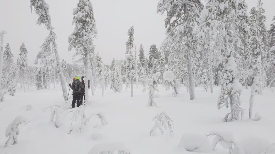På väg mot Naturskyddsföreningen i Jokkmokks fågelmatning på Getberget i ymnigt snöfall.