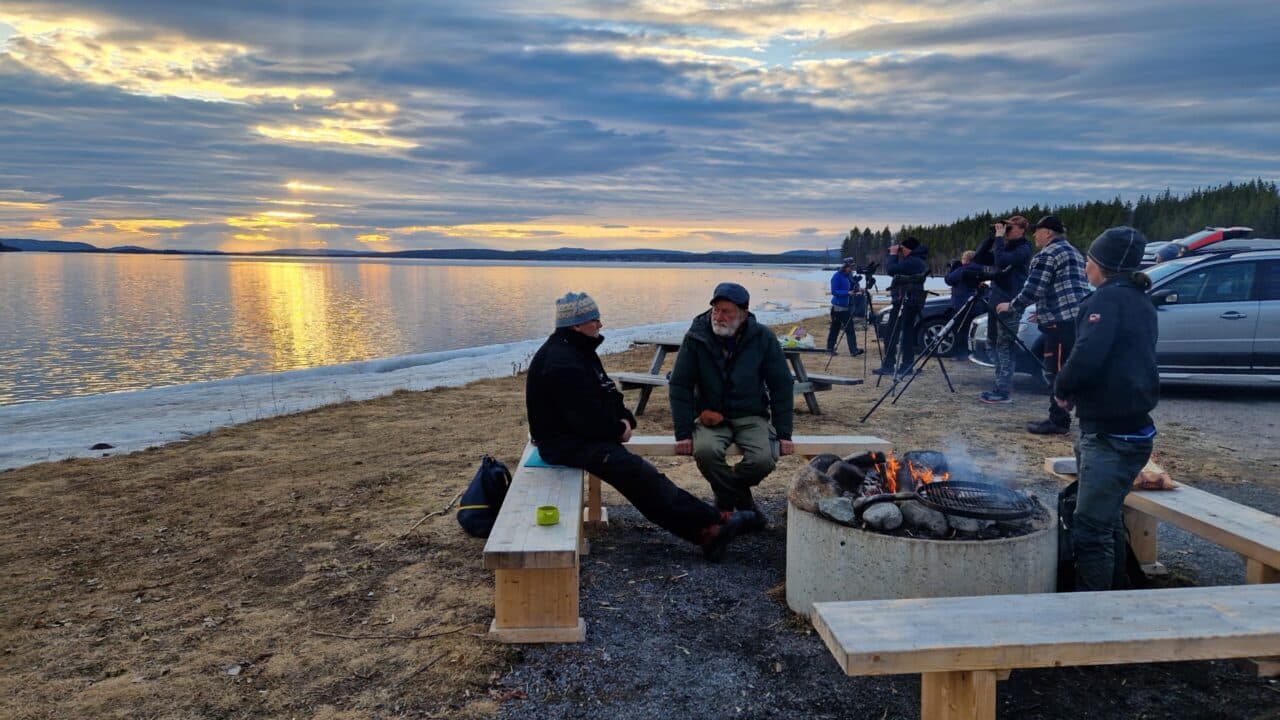 Vid elden fick vi höra om när en smutsgam landade i Jokkmokk och drog till sig uppmärksamhet.