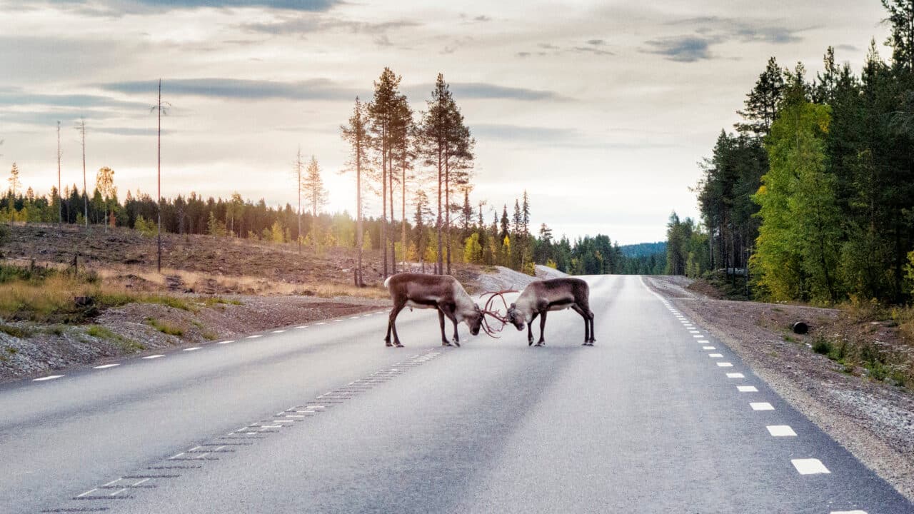 Johner Bildbyra AB.+46 8 644 83 30.info@johner.se.sales@johner.se