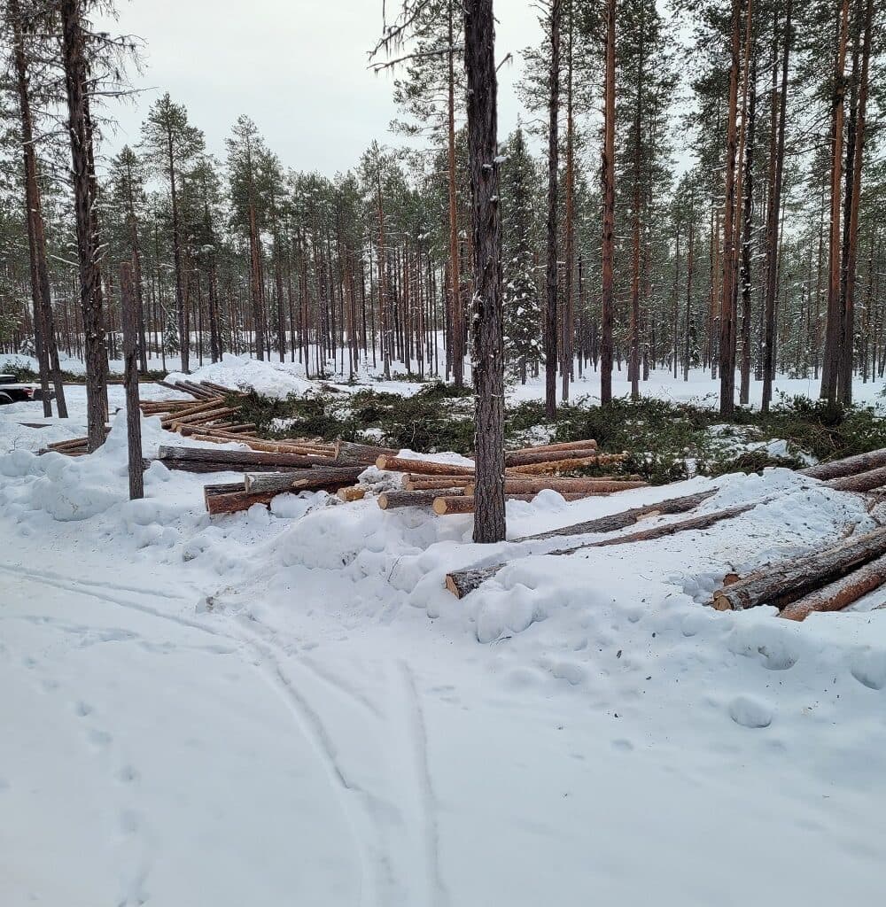 Avverkning påbörjades i tisdag kväll.