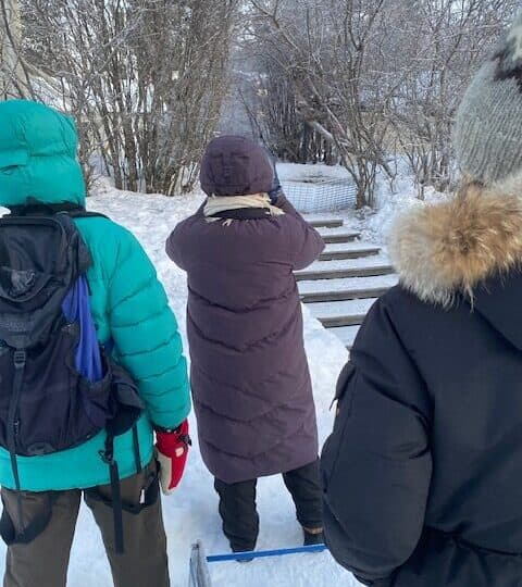 Jokkmokkslaget hittade en matning med flera arter som gömde sig i buskarna.