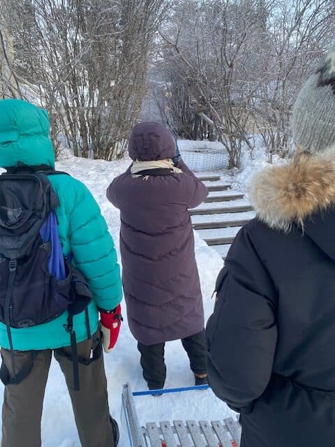 Jokkmokkslaget hittade en matning med flera arter som gömde sig i buskarna.