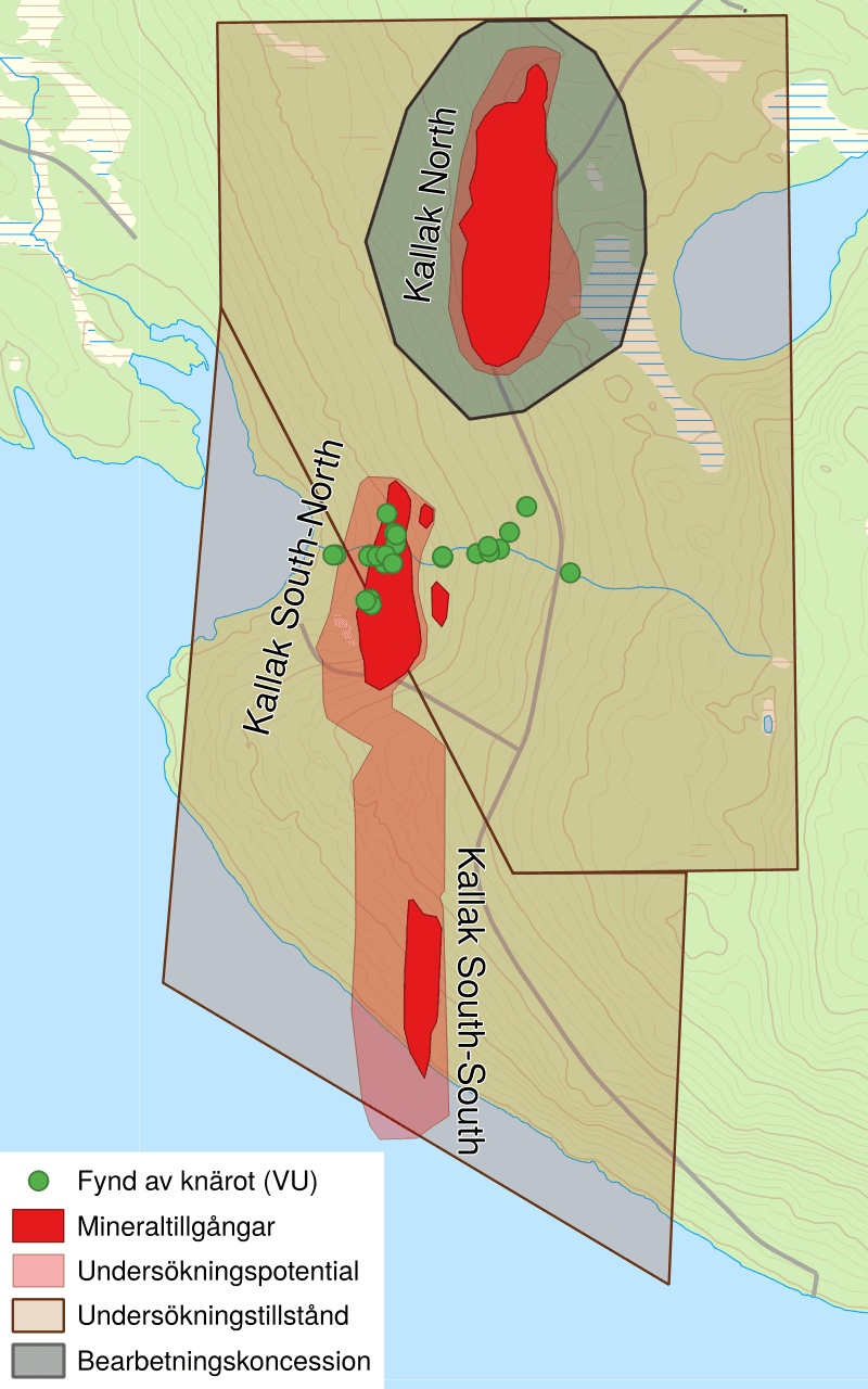 Fynd av den hotade och fridlysta orkidén knärot inom bolagets så kallade Kallak Iron Ore Project ...