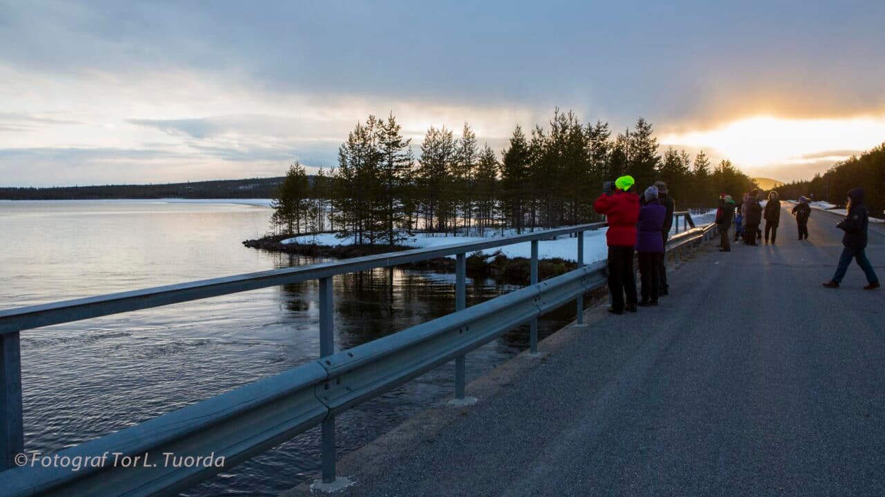 Sonja Kuoljok ledde fredagens fågelskådning. Två havsörnar observerades.
