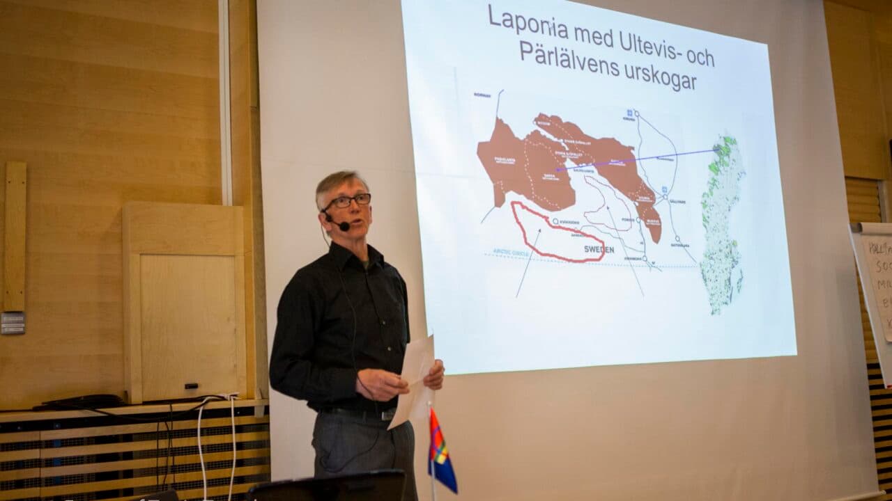 Lars Ture torgför sitt drömscenario om ett långsiktigt skydd av ett urskogskomplex.