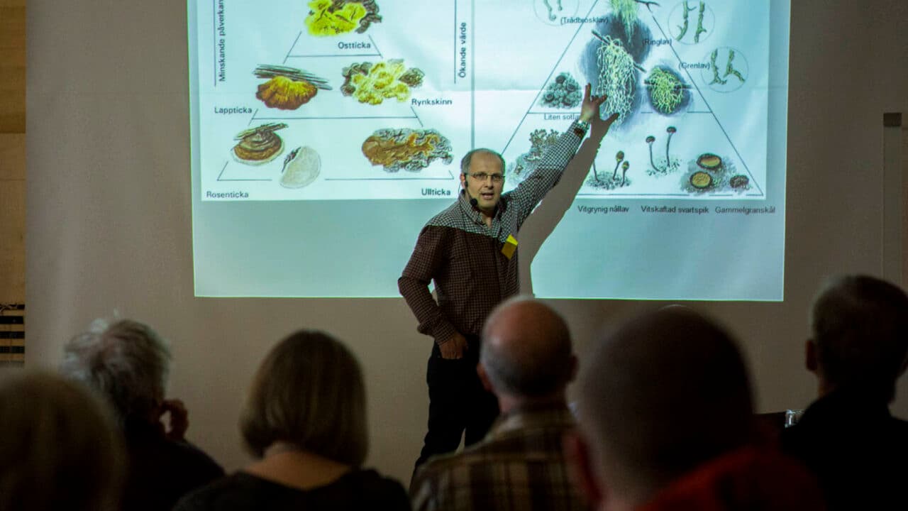 Mats berättar om värdepyramiden för granskogar. En revolutionerande metodik som han uppfunnit för ...