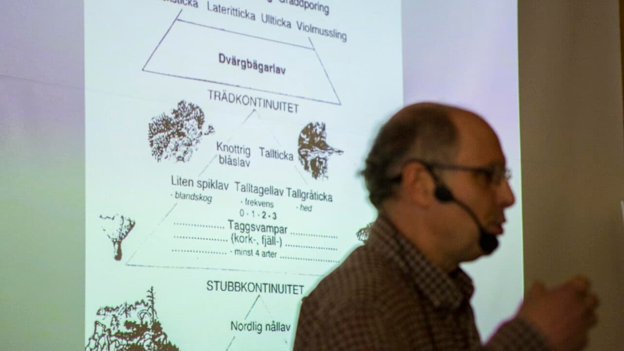 Mats beskriver sin värdepyramid som gäller för tallskogar.