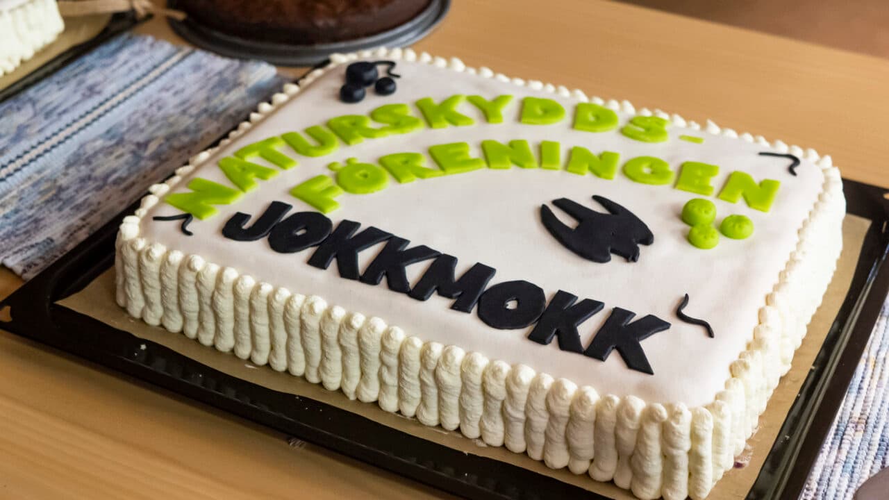 Födelsedagstårta gjord av Emma Nilsson.