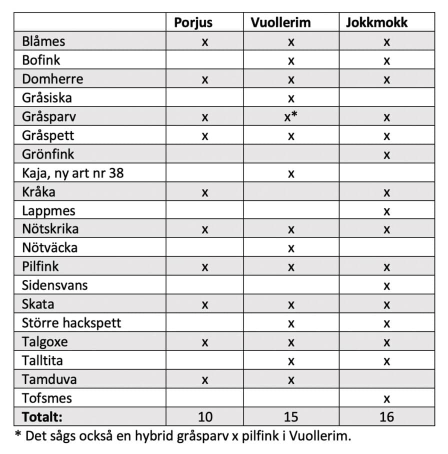Arter sedda under fågelbordstävlingen 2022